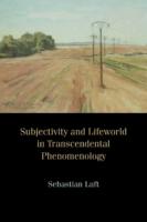 Sebastian Luft: Subjectivity and Lifeworld in Transcendental Phenomenology, Northwestern University Press, 2021